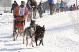 Lenk 2012 SM